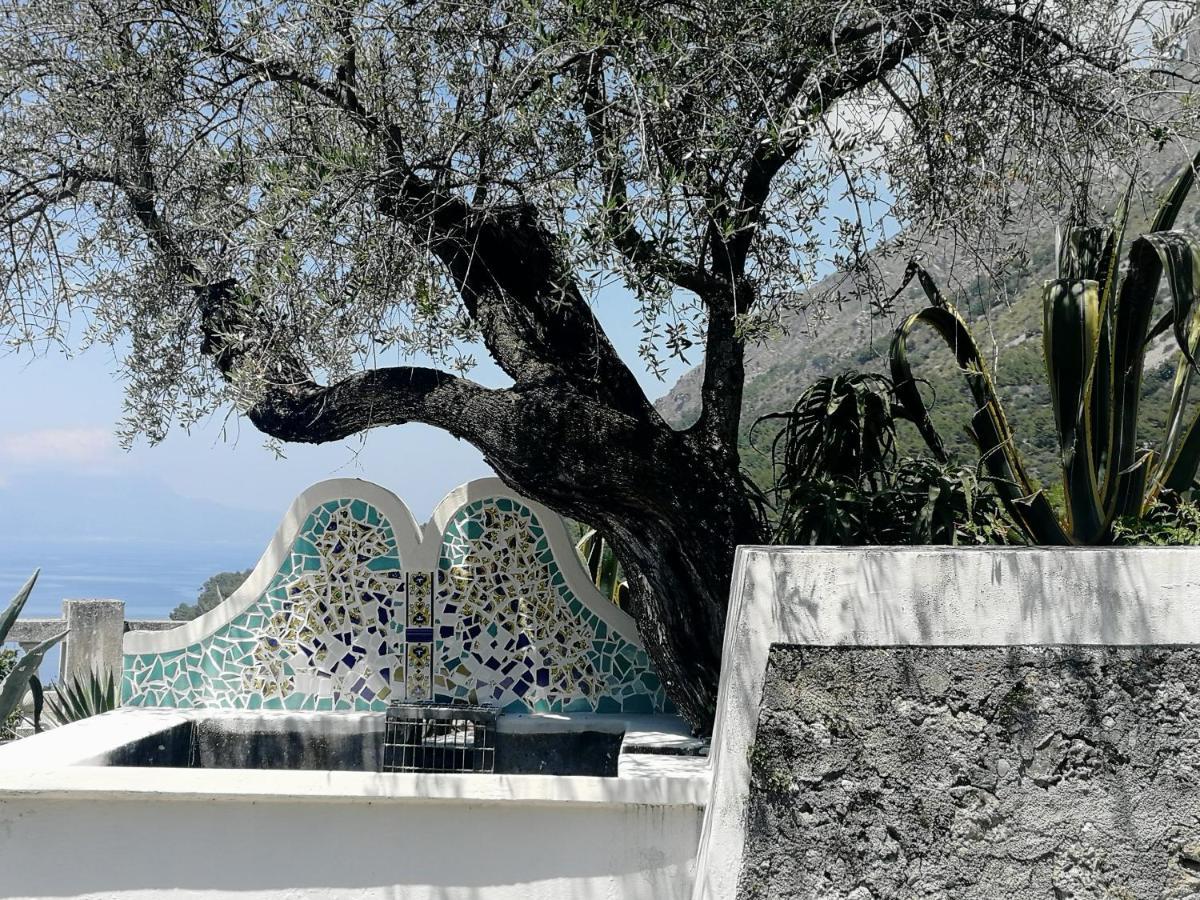 Villa Venezuela 1° Piano Maratea Bagian luar foto